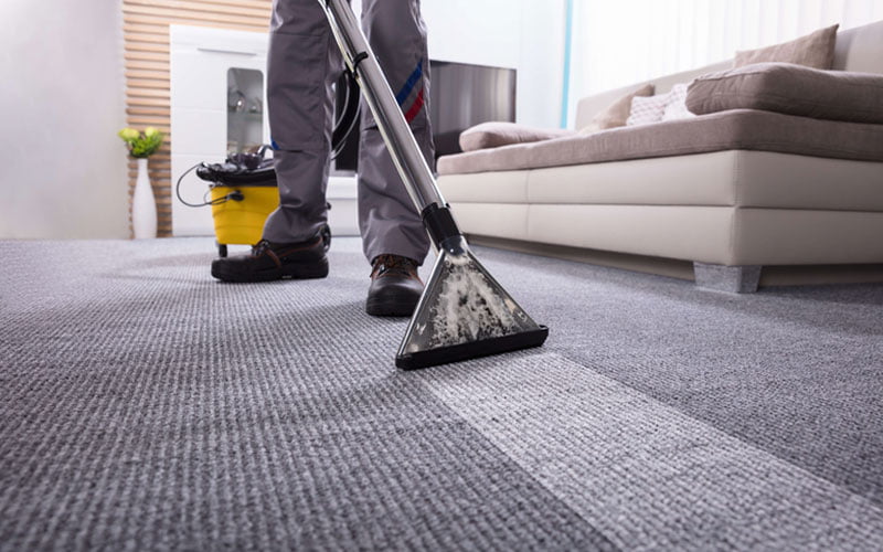 Carpet Cleaning